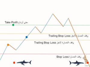 إدارة الأموال - وقف الخشارة